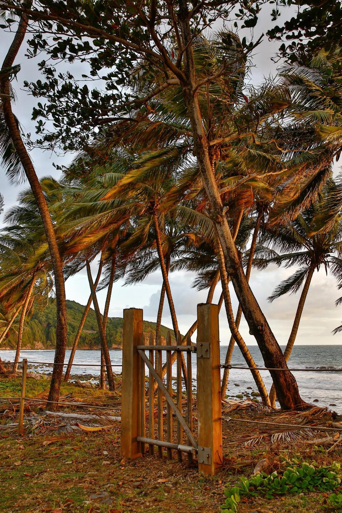 Maison D'O Baie De Saint-Jacques, Sur Une Plage Sauvage Sainte-Marie Extérieur photo